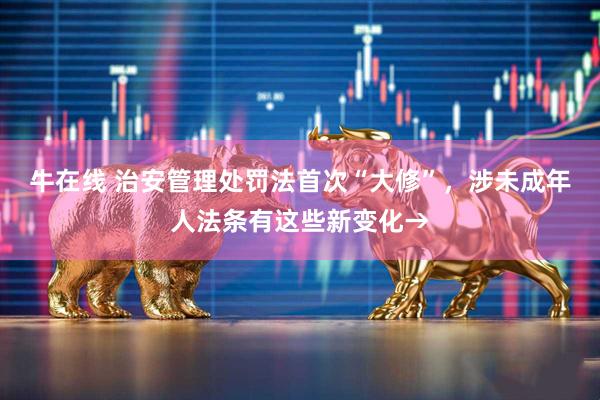 牛在线 治安管理处罚法首次“大修”，涉未成年人法条有这些新变化→