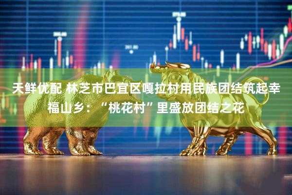 天鲜优配 林芝市巴宜区嘎拉村用民族团结筑起幸福山乡：“桃花村”里盛放团结之花