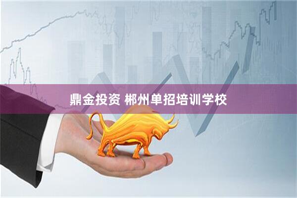 鼎金投资 郴州单招培训学校