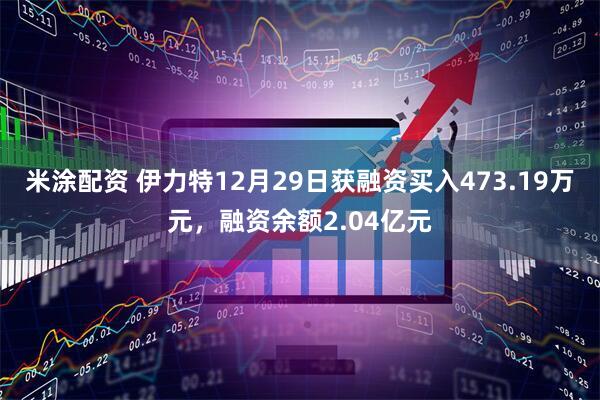 米涂配资 伊力特12月29日获融资买入473.19万元，融资余额2.04亿元